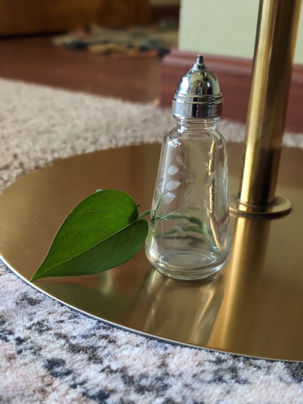 Vintage Glass Salt Shaker
